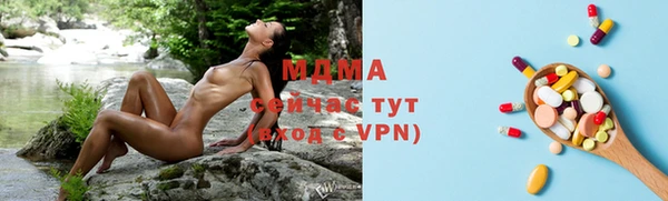 твердый Бородино