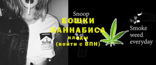 твердый Бородино