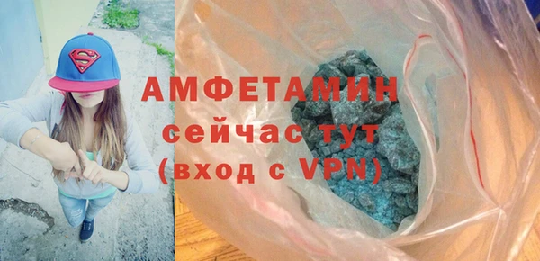 твердый Бородино