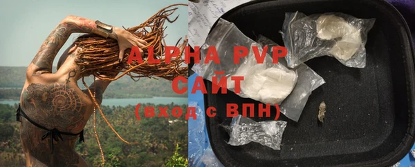 твердый Бородино